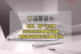 巢湖巢湖专业催债公司，专业催收